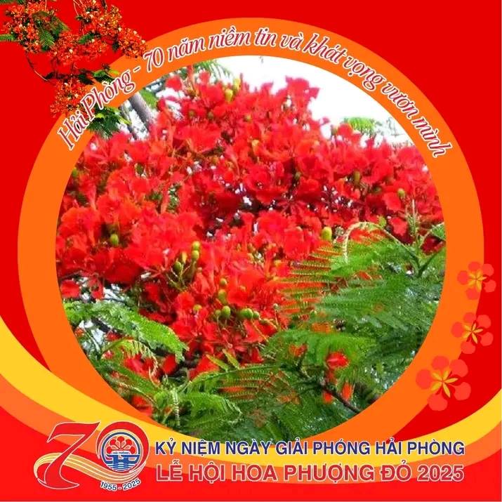 Thư cảm ơn của Thành ủy- HĐND - UBND - Ủy ban MTTQ Việt Nam thành phố Hải Phòng