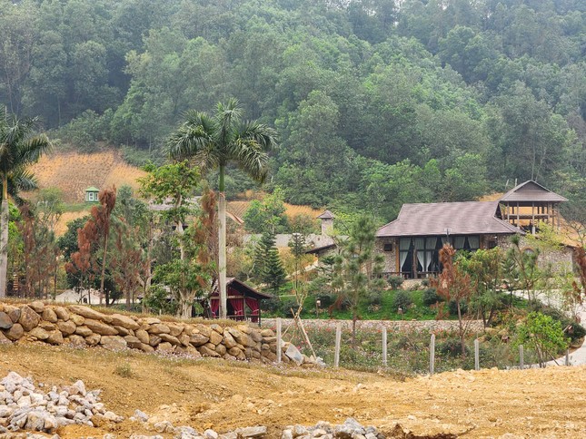 Chủ tịch Hà Nội yêu cầu khẩn trương xử lý vụ lấn chiếm đất rừng xây khu nghỉ dưỡng tại Thạch Thất