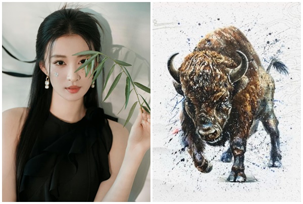 Tử vi 12 con giáp thứ Ba ngày 2052025 Tiền lớn về túi, tài lộc thăng hoa