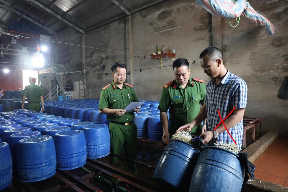 Giá đỗ “ngậm” hóa chất độc hại lên mân cơm người Việt Trách nhiệm thuộc về ai