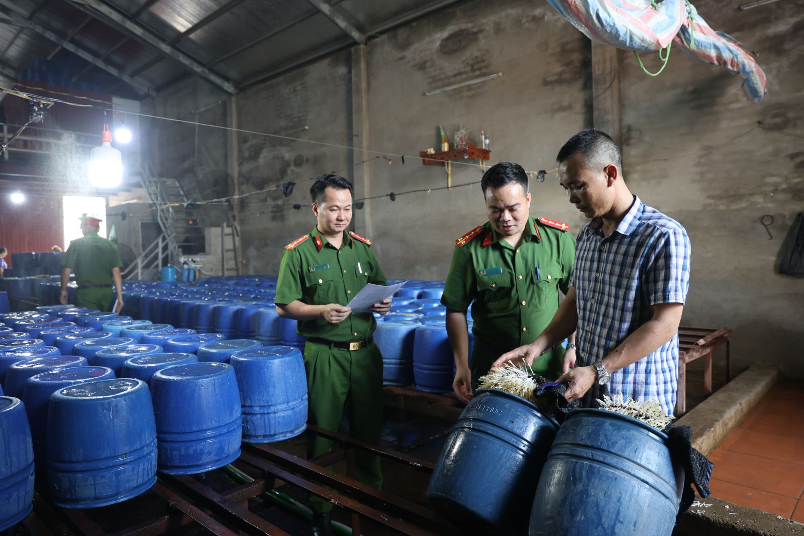 Bắc Giang Một cơ sở đã khoảng 60 tấn giá đỗ ngậm chất kích thích ra thị trường