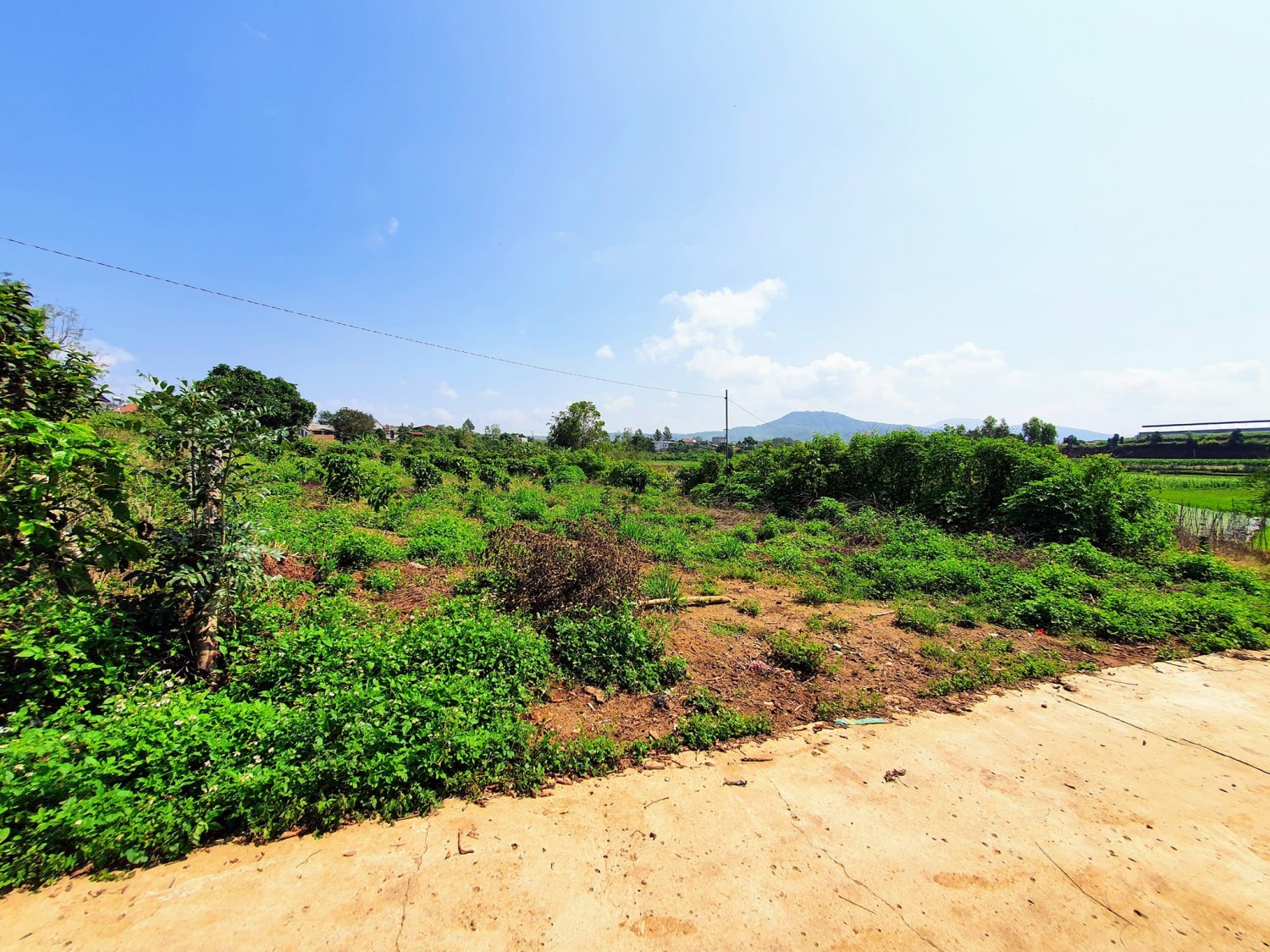 Lâm Đồng Công ty TNHH Lang Hanh bị xử phạt do tự ý chuyển đổi mục đích sử dụng đất nông nghiệp