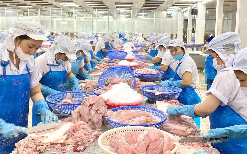 Cá tra giá trị gia tăng Việt Nam duy trì sức hút tại thị trường Mỹ