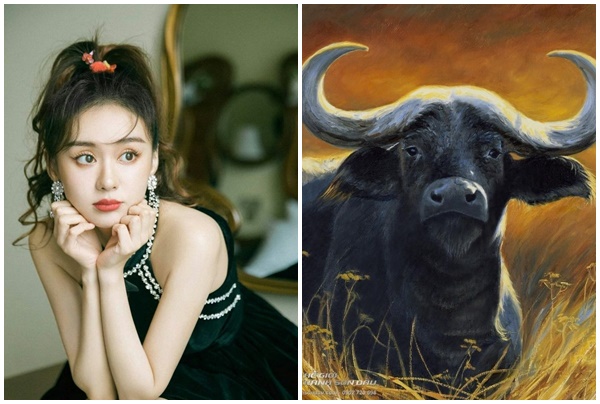 Tử vi 12 con giáp thứ Năm ngày 2952025 Chú ý chi tiêu, tài chính ổn định