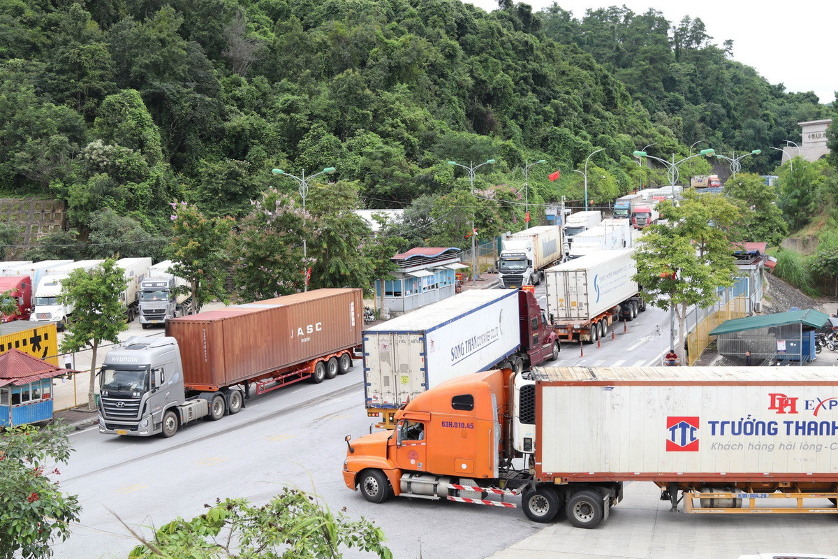 Hải quan chỉ đạo tạo điều kiện thông quan hàng nông lâm thủy sản, đặc biệt là sầu riêng