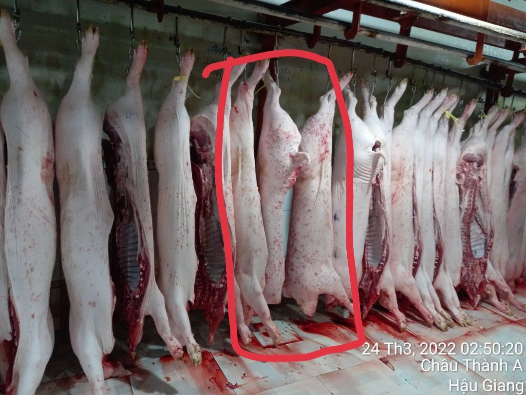 Người tố cáo Công ty C.P quyết không im lặng, tiếp tục gửi đơn đến cơ quan chức năng