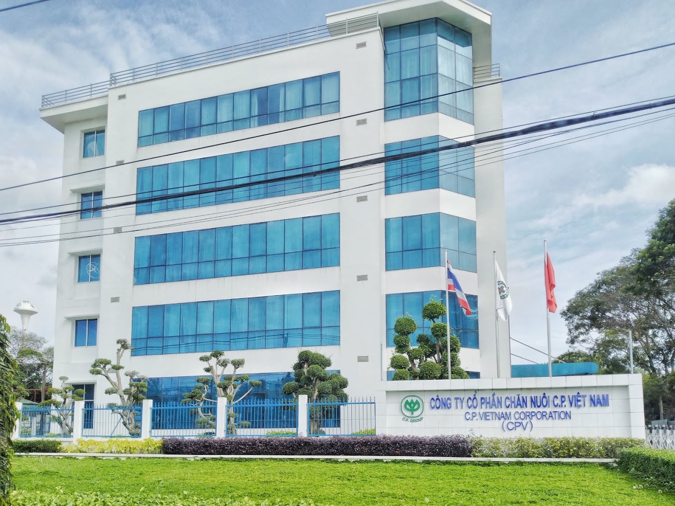 Chủ lò mổ gia công cho C.P Việt Nam thừa nhận Hình ảnh tố heo bị bệnh là có thật