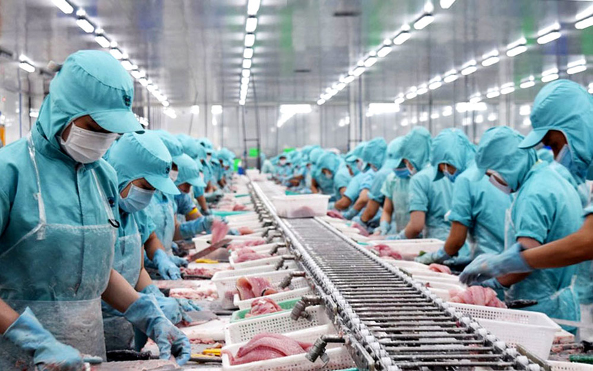 Tác động từ thuế quan, rủi ro thương mại khiến xuất khẩu thủy sản tăng chậm lại