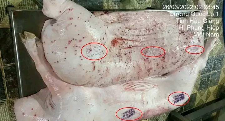 Vụ việc CP Việt Nam nếu có sai phạm CP Foods có động thái gì