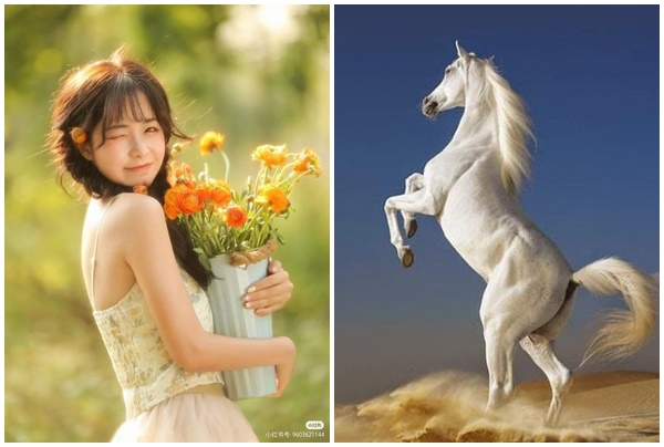 Tử vi 3 con giáp may mắn nhất thứ Sáu (66) Chạm tay vào giàu có, sự nghiệp thăng tiến bất ngờ