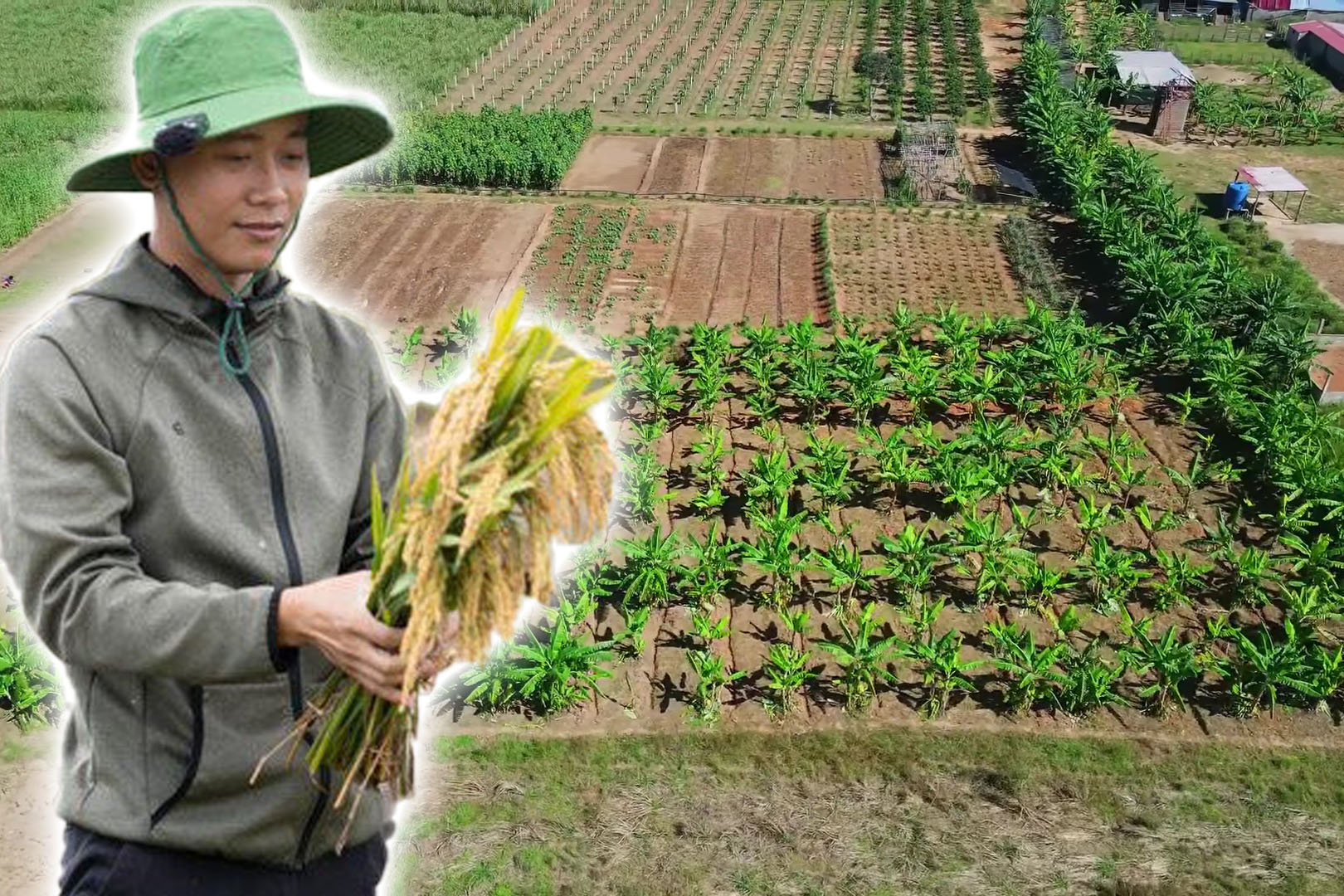 Tình cảnh trang trại 14ha của Quang Linh Vlog ở châu Phi sau 2 tháng chủ tịch vướng lao lý