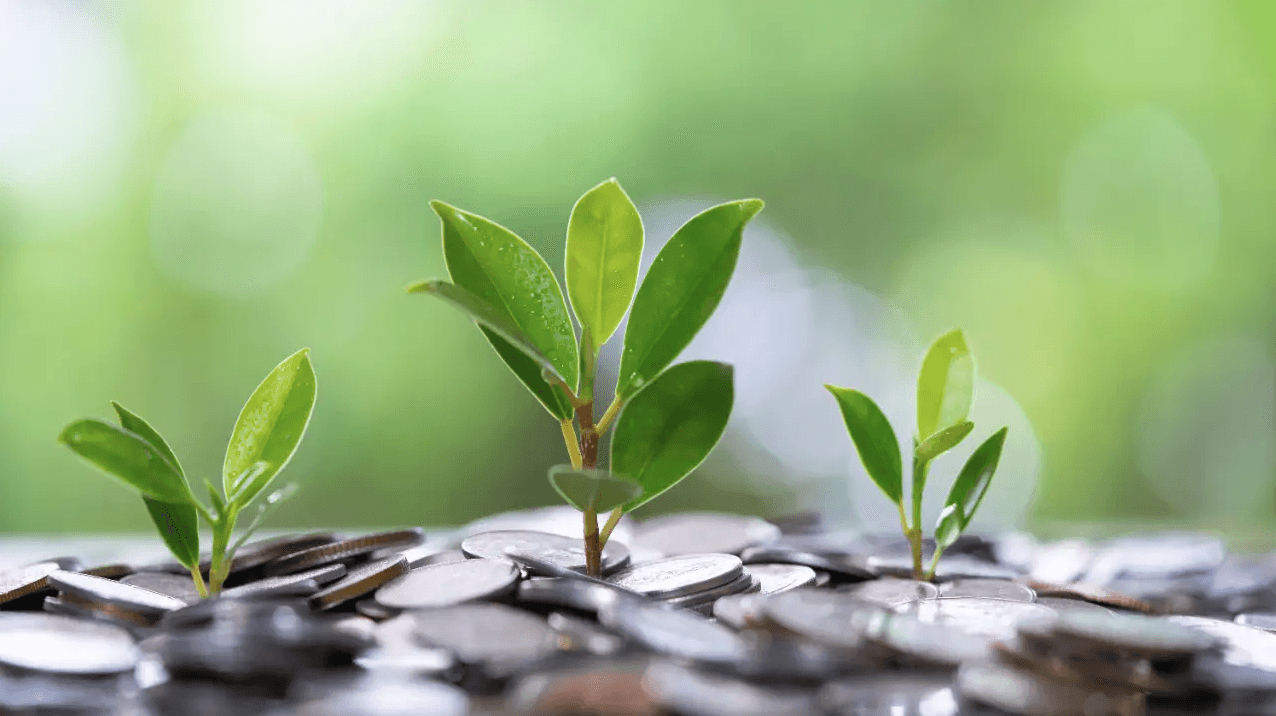 33 doanh nghiệp chốt quyền trả cổ tức tiền mặt tuần từ 9-136