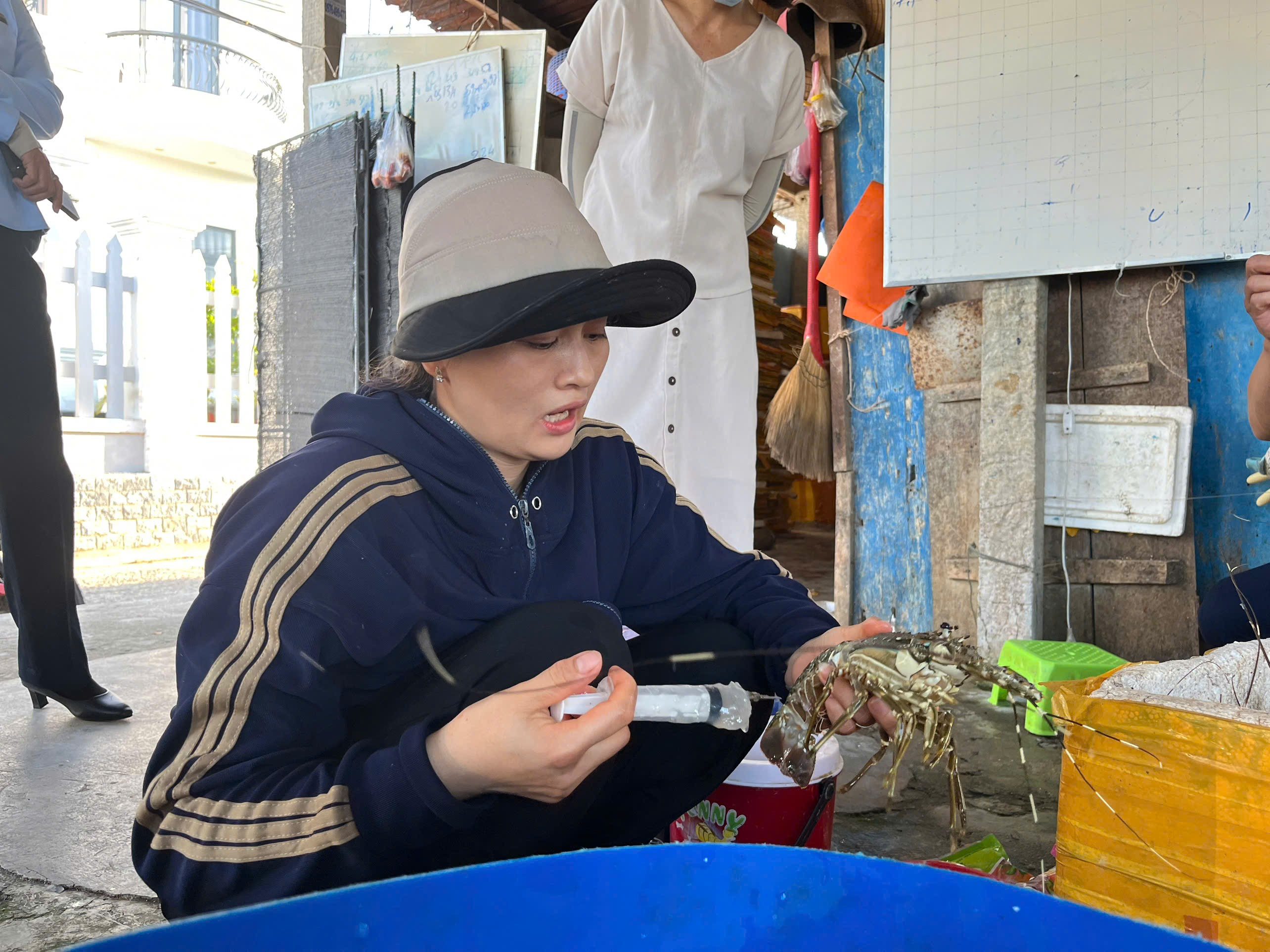 Phú Yên Phát hiện cơ sở bơm thạch rau câu vào tôm hùm chết để bán ra thị trường