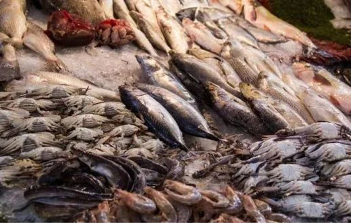 Loại cá này chứa chất gây ung thư hàng đầu! Bác sĩ cảnh báo Dù thèm đến mấy cũng nên kiềm chế, coi chừng ung thư