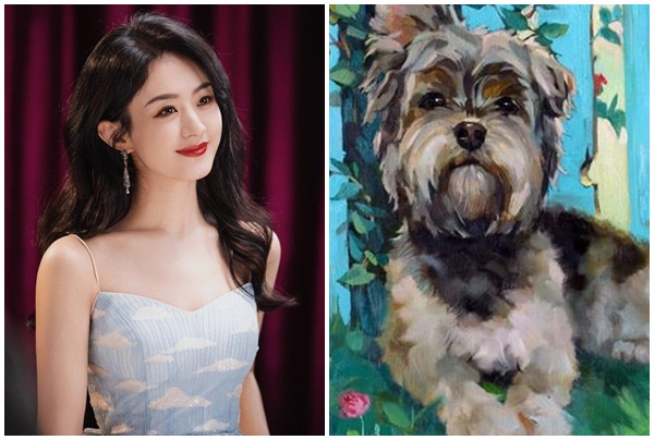 Tử vi 12 con giáp thứ Năm ngày 1262025 Vận may bùng nổ toàn diện