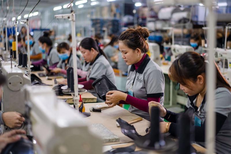 Doanh nghiệp Việt và bài học sống còn từ những cơn bão phốt