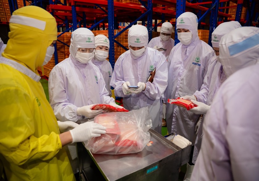 Hà Nội kiểm tra nhà máy chế biến thịt của Công ty C.P