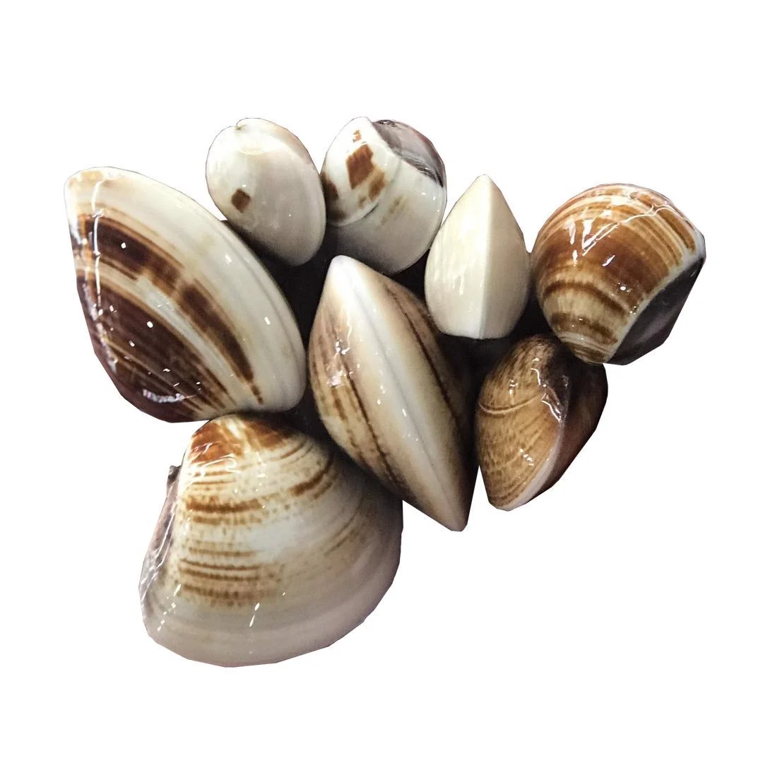 Xuất khẩu nghêu sang Trung Quốc tăng phi mã