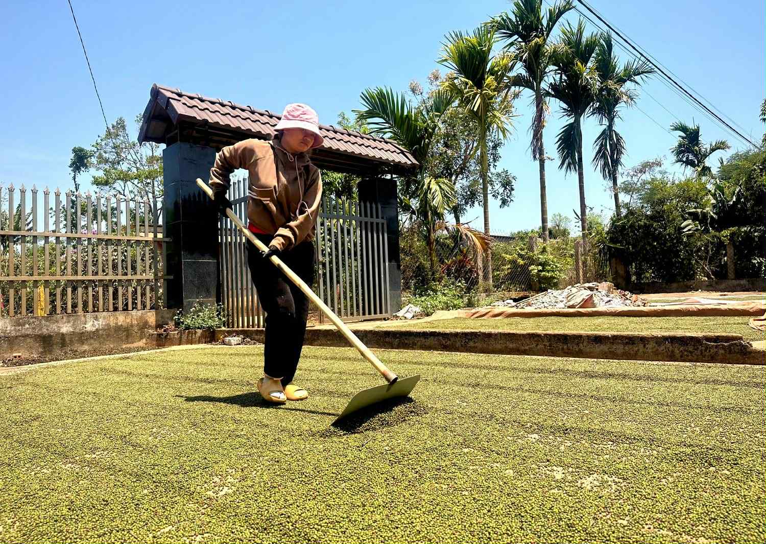 Chặn hàng bẩn ngay từ gốc để giữ thế vững cho nông sản Việt