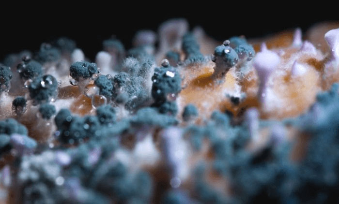 Bác sĩ cảnh báo Thứ độc hại hơn rượu gấp 10 lần gây ung thư gan, nhiều người ăn mỗi ngày mà không biết