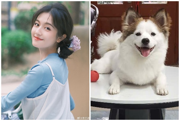 Đúng ngày 77 dương lịch, 3 con giáp vận may đỏ chót, tài lộc tăng không ngừng 