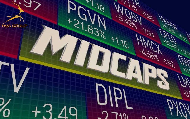 MBS Research Thị trường đi vào giai đoạn phân hóa, nhóm cổ phiếu Midcap có lợi thế