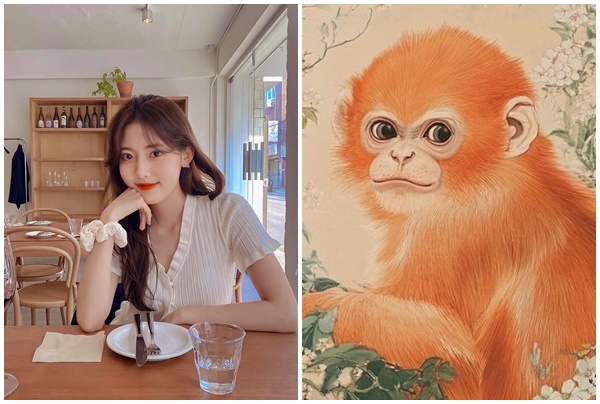 Tử vi 12 con giáp thứ Sáu ngày 1172025 3 con giáp vượng tài, đếm tiền mỏi tay