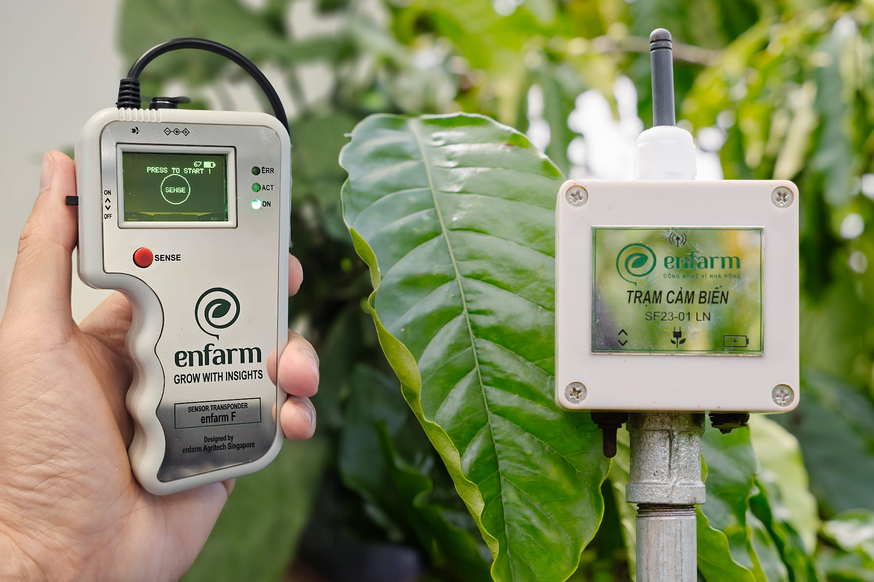 Ứng dụng công nghệ giúp tối ưu lượng phân bón trong sản xuất nông nghiệp