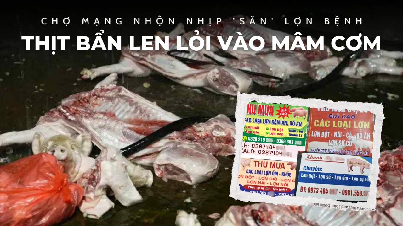 Chợ mạng nhộn nhịp săn lợn bệnh – Thịt bẩn len lỏi vào mâm cơm