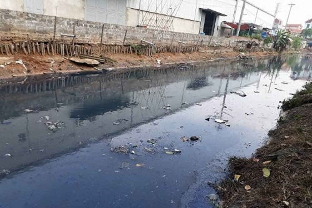 Điều tra, xử lý triệt để tội phạm và vi phạm pháp luật về môi trường