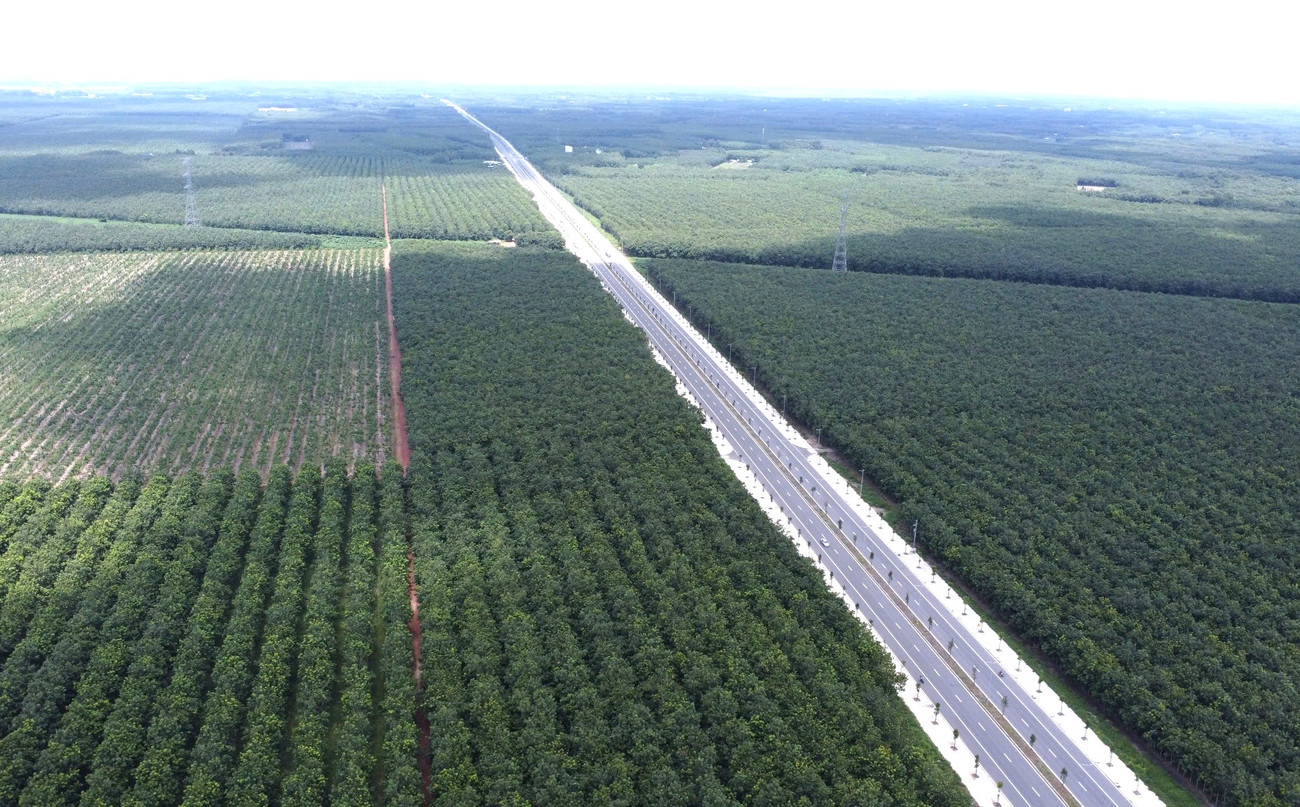 Vụ Tập đoàn Sơn Hải trượt thầu cao tốc Phó thủ tướng ra hạn chót xử lý trước ngày 207