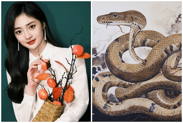 Tử vi 3 con giáp may mắn nhất thứ Ba (157) May mắn đủ đường, sung sướng khó ai bằng