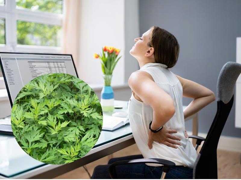 Bí quyết chữa thoái hóa đốt sống hiệu quả tại nhà