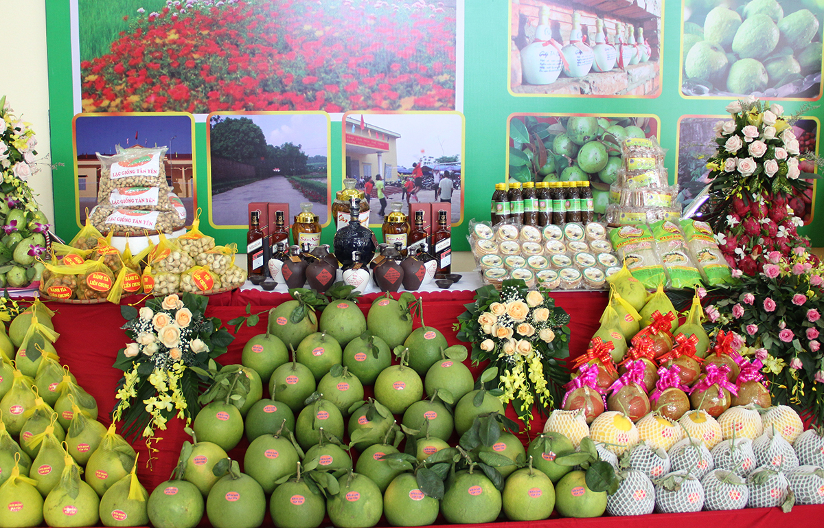 Tăng cường công tác quản lý, kiểm tra, giám sát đối với các sản phẩm OCOP