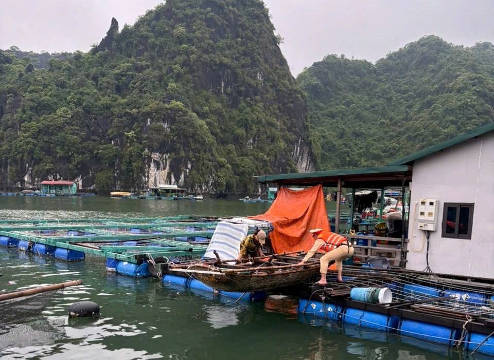 Hướng dẫn kỹ năng ứng phó với bão và mưa lũ sau bão