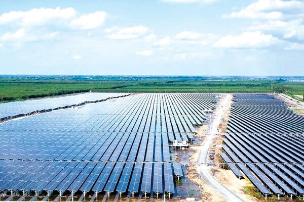 BCG Energy (BGE) công bố báo cáo kiểm toán 2024, lỗ 766 tỷ đồng, 1.160 tỷ đồng lợi nhuận “bốc hơi”