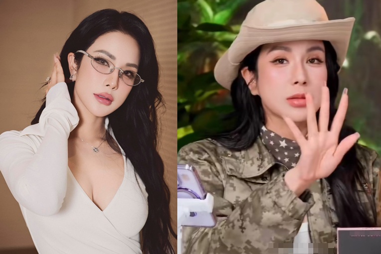 Diệp Lâm Anh sượng trân vì bị công kích khi đang livestream