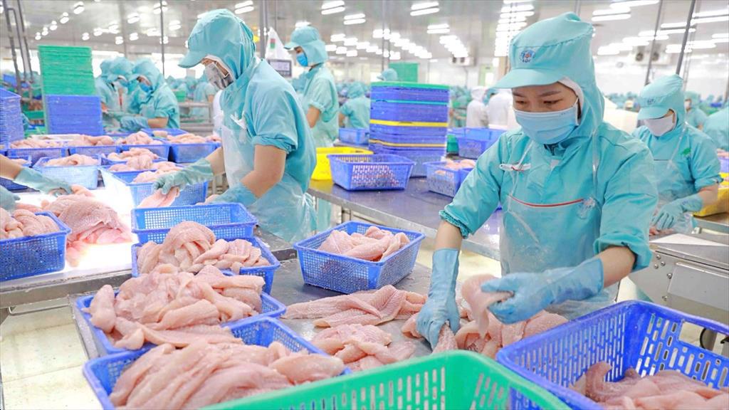 IDI lợi nhuận đạt 33 tỷ đồng tăng 83% so với cùng kỳ