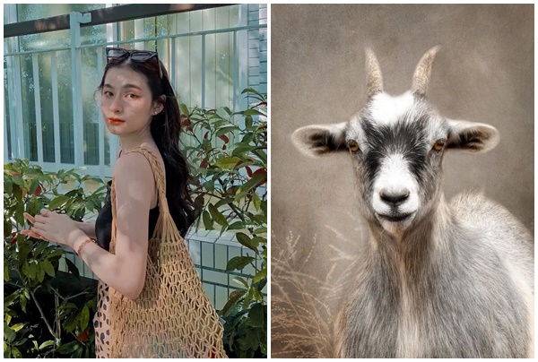 Tử vi 12 con giáp thứ Năm ngày 3172025 Cơ hội nở rộ, tình duyên thăng hoa