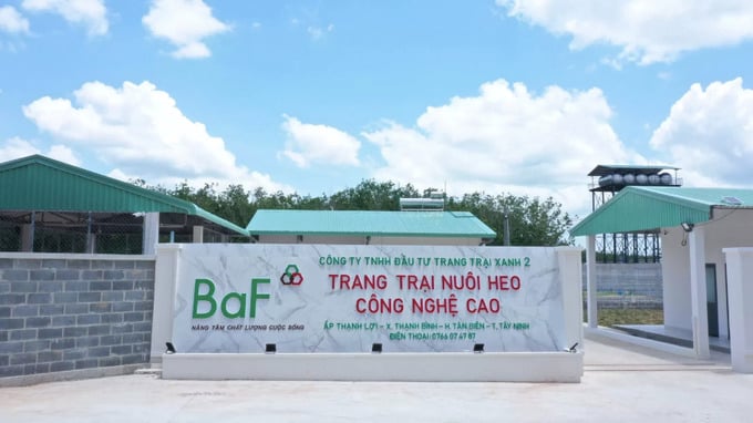 Lợi nhuận BAF đạt kỷ lục nhờ chăn nuôi