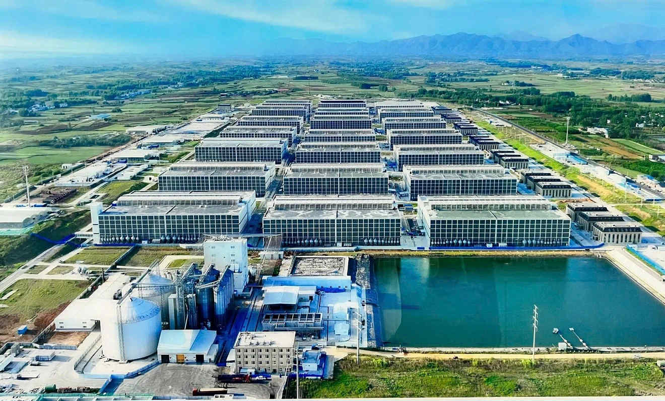 Bộ Nông nghiệp và Môi trường đề xuất Chính phủ thí điểm mô hình nuôi heo trong chung cư