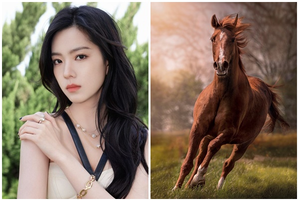 Tử vi 3 con giáp may mắn nhất Chủ Nhật (38) Phú quý đại tài, giàu có không ngờ