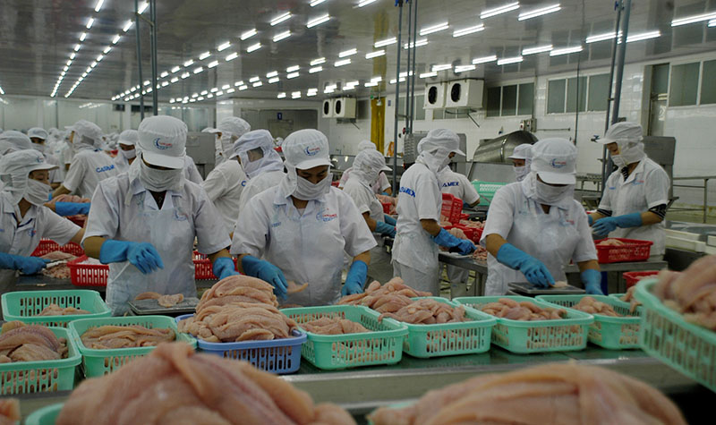 Ngành thủy tăng tốc xuất khẩu trước hạn thuế quan của Mỹ