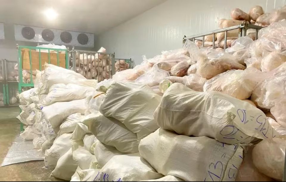 Tiêu hủy hơn 100 tấn heo sữa đông lạnh không rõ nguồn gốc