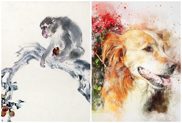 Tử vi 12 con giáp thứ Tư ngày 1382025 Công việc hanh thông, tài lộc bùng nổ