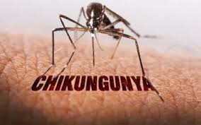 Hải Phòng triển khai khẩn cấp biện pháp phòng, chống bệnh Chikungunya theo chỉ đạo của Bộ Y tế