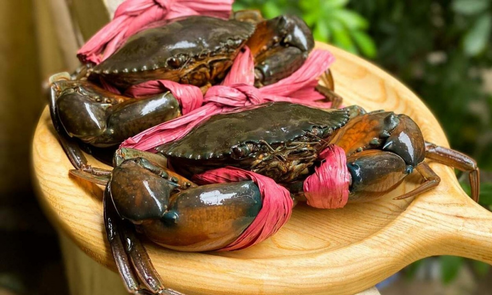 Xuất khẩu cua ghẹ Việt Nam tăng trưởng mạnh nhưng thiếu ổn định