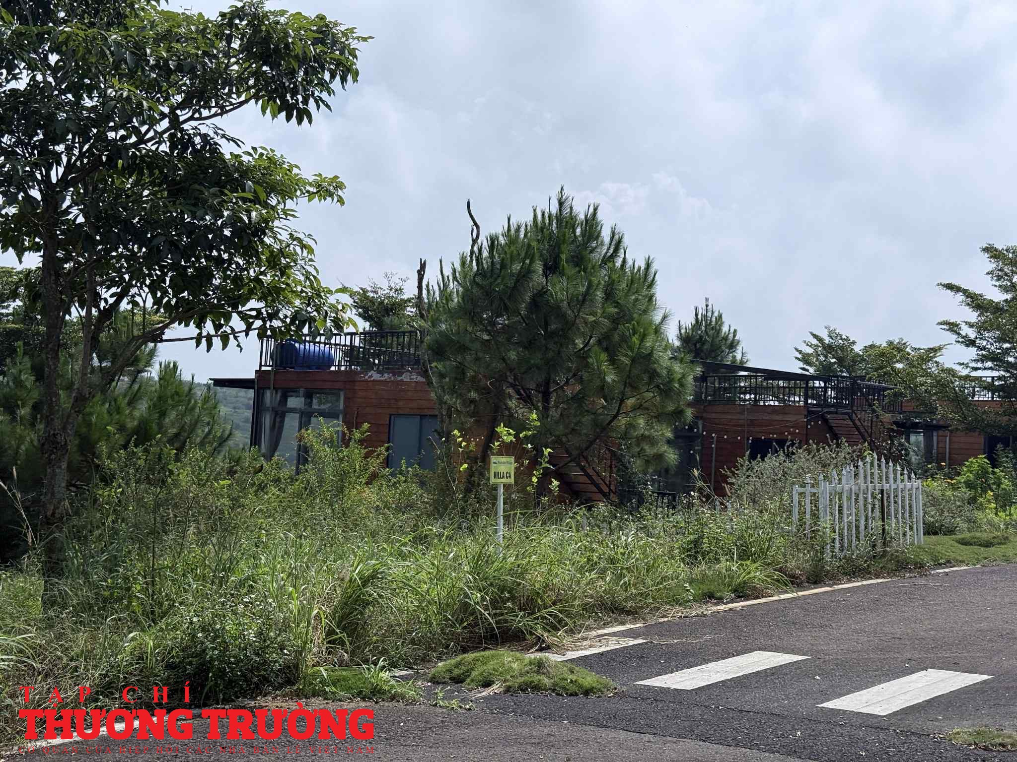 Những dự án phân lô từng gây sốt tại Lâm Đồng Cỏ dại bao phủ, hoang hóa không một bóng người