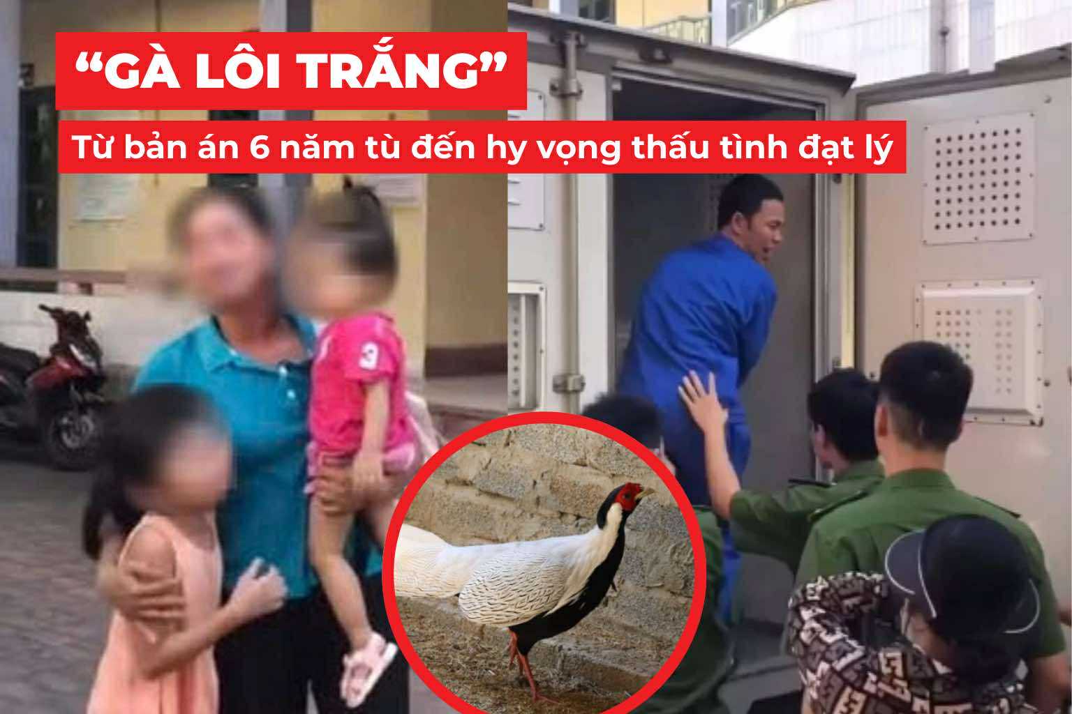 Vụ án Gà lôi trắng Từ bản án 6 năm tù đến hy vọng thấu tình đạt lý