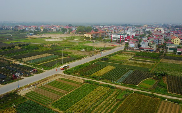 TP.HCM giao thẩm quyền lập quy hoạch đô thị, nông thôn cho cấp xã